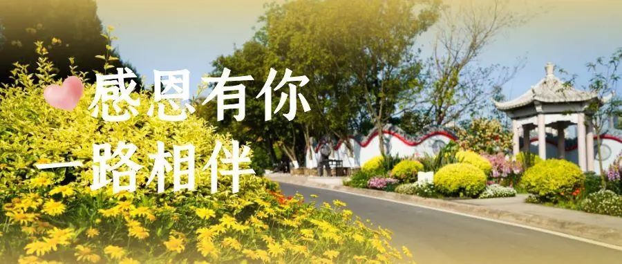 感恩節(jié)| 從心出發(fā)，感恩相伴