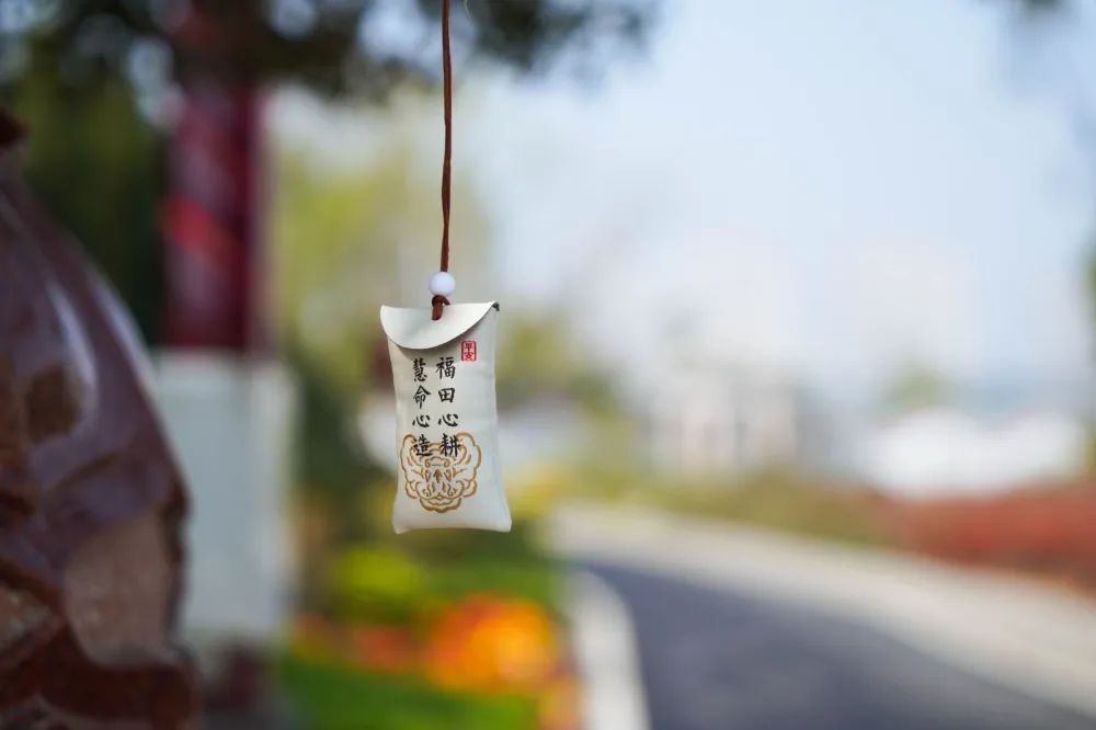 蓮花公墓2023年清明祭掃指南